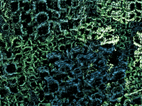 GIF by LATS