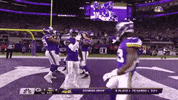 High Five GIF by Minnesota Vikings