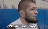 Mixed Martial Arts Sport GIF by UFC