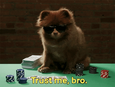 VicVik giphygifmaker giphyattribution GIF