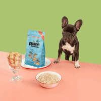 Rotationalfeeding GIF by GrandmaLucys