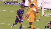 excited 2018 season GIF by USL