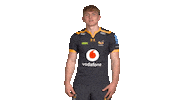 Rugby Sticker by Wasps