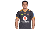 Rugby Sticker by Wasps