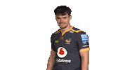 Rugby Sticker by Wasps