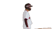 Kbo Sticker by Kiwoom Heroes Baseball Club