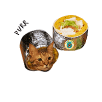 Chimichanga_sg singapore tacos tequila mexican Sticker