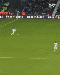 West Brom Wba GIF by West Bromwich Albion