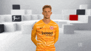 Eintracht Frankfurt Wow GIF by Bundesliga