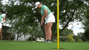 Tgoe Iwutitans GIF by iwusports