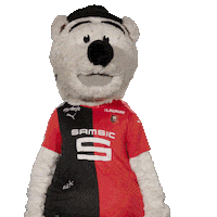 Ligue 1 Goal Sticker by Stade Rennais F.C.