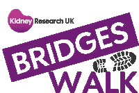 Charity Kidney Sticker by PyneDesign