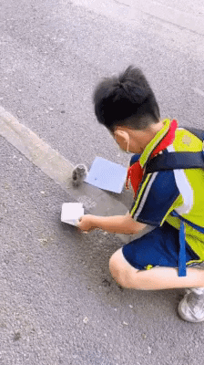 cuteanimalland giphyupload GIF