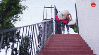 Groceries Fail