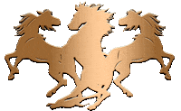 crazyhorse3lv crazyhorse3 crazyhorse3lv Sticker