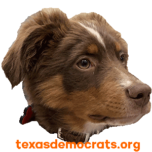 texasdemocrats giphyupload dog puppy dogs Sticker