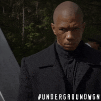 wgn america television GIF by Underground
