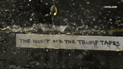 golden shower pee tape GIF by THE HUNT FOR THE TRUMP TAPES