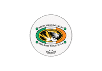 Marching Band Bands Sticker by University of Missouri