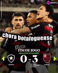 theflash_951 chora botafoguense GIF