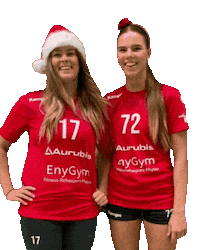 Sport Christmas Sticker by vflbrambauer
