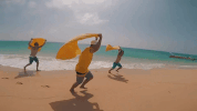 nine one one beach GIF