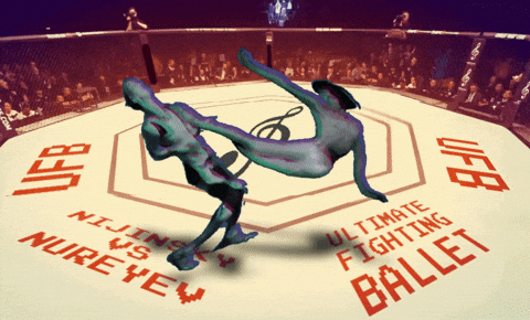 Martial Arts Fighting GIF by Xinanimodelacra