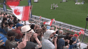 FEI_Global sport flag horse cheer GIF