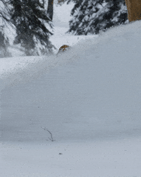 Snow Snowboarding GIF by Nokian Tyres