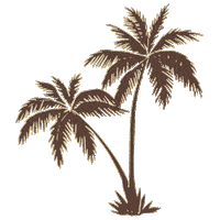 Seashell Satgc Sticker by Spell & The Gypsy Collective