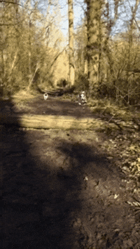 GIF by Giffffr