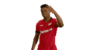 Waving Come On Sticker by Bundesliga