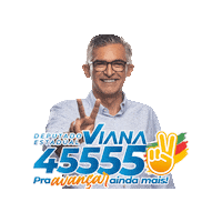 Viana Sticker by deputadoviana
