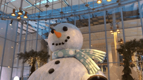christmas snow GIF by California Academy of Sciences