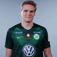 fifa 18 football GIF by VfL Wolfsburg