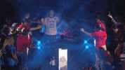 GIF by Volleyball World
