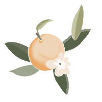 Clementine Sticker by Mad About Style