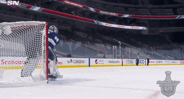 Happy Ice Hockey GIF by NHL