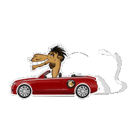 Happy Abu Dhabi Sticker by Camel Cookies