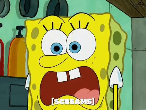 season 5 episode 10 GIF by SpongeBob SquarePants