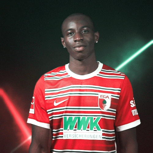 Bundesliga Yes GIF by FC Augsburg 1907