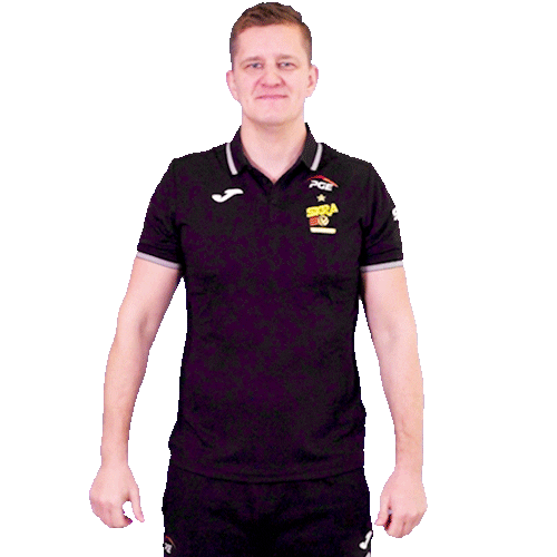 Volleyball Ok Sticker by PGE Skra Bełchatów