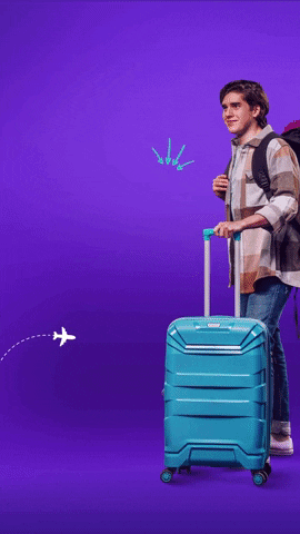 GIF by Wingo