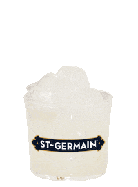 stgermaindrinks cheers happy hour margarita spritz Sticker