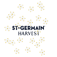 stgermaindrinks cheers happy hour spritz st-germain Sticker