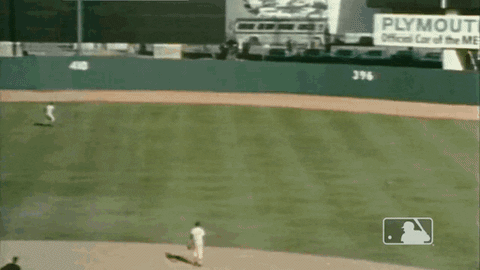 World Series Sport GIF by New York Mets