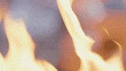 Illinois Football GIF by Fighting Illini Athletics