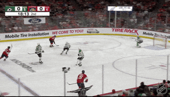Florida Panthers Celebration GIF by NHL