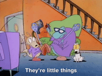 rockos modern life nicksplat GIF