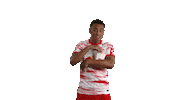 Football Popcorn Sticker by RB Leipzig